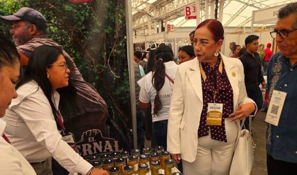 Avanza Tamaulipas con resultados vinculados a tamaulipas participó en la Feria Nacional Forestal 2026 en Jalisco