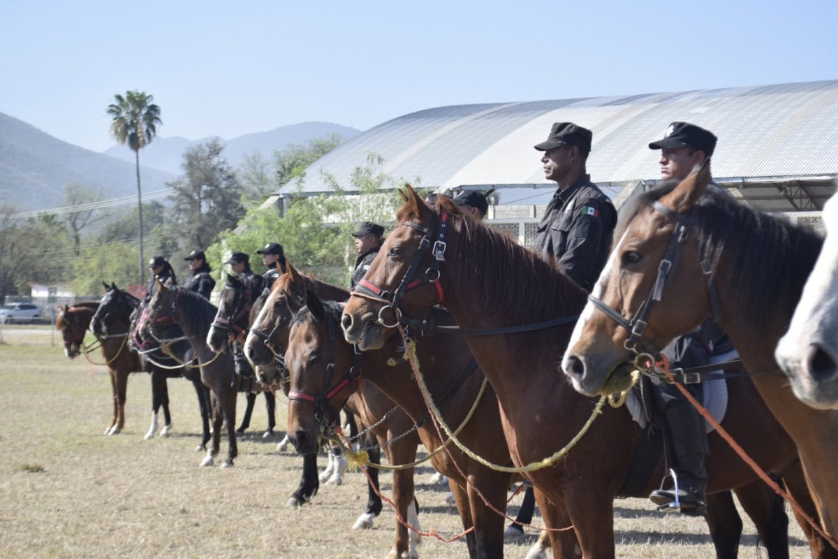 El Agrupamiento Montado refuerza la seguridad en áreas rurales y naturales